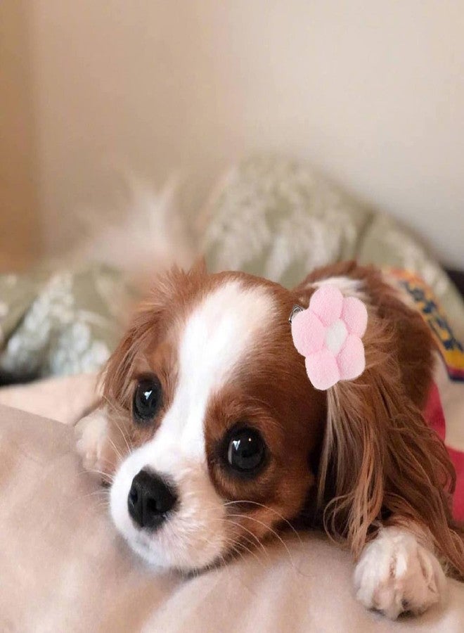 ZARSIO Small Dog Hair Clips Cute Dog Hair Bows Fur Ball Flower Girls Puppies Hair Barrettes Alligator Hair Clips Cat Puppy Party Birthday Grooming Hair Accessories - Image 4